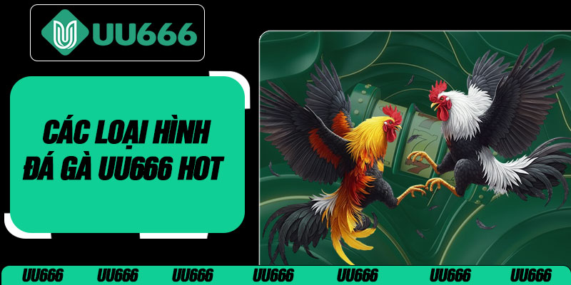Các Loại Hình Đá Gà UU666 Hot  