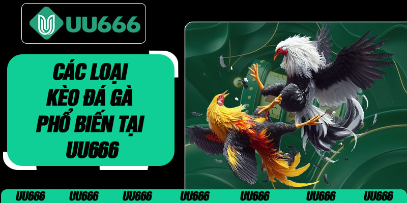 Các Loại Kèo Đá Gà Phổ Biến Tại UU666
