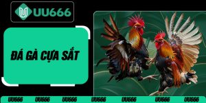 Đá Gà Cựa Sắt