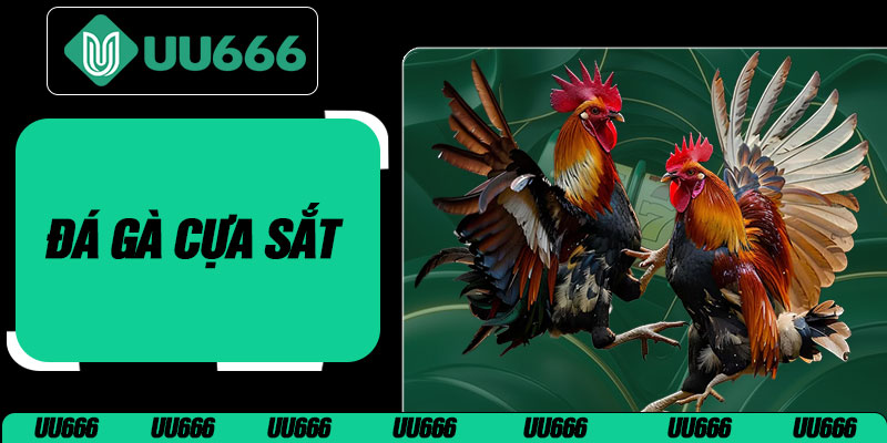 Đá Gà Cựa Sắt