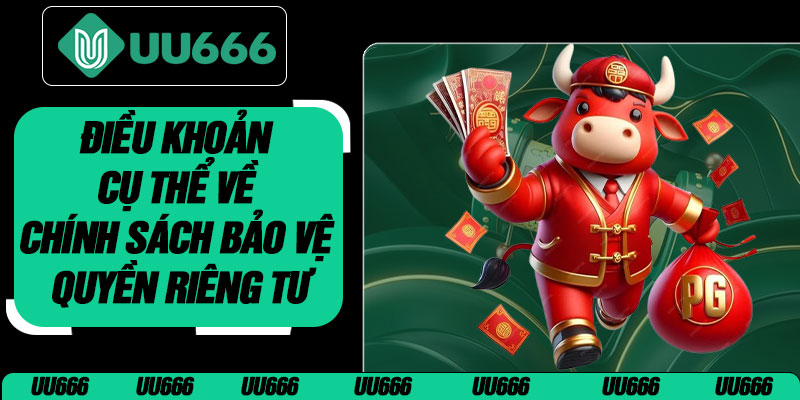 Điều Khoản Cụ Thể Về Chính Sách Bảo Vệ Quyền Riêng Tư