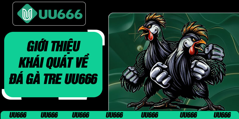 Giới Thiệu Khái Quát Về Đá Gà Tre UU666