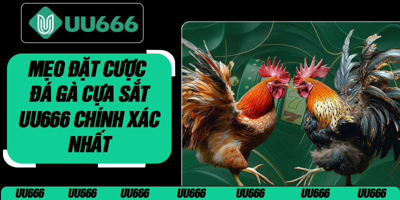 Mẹo Đặt Cược Đá Gà Cựa Sắt UU666 Chính Xác Nhất