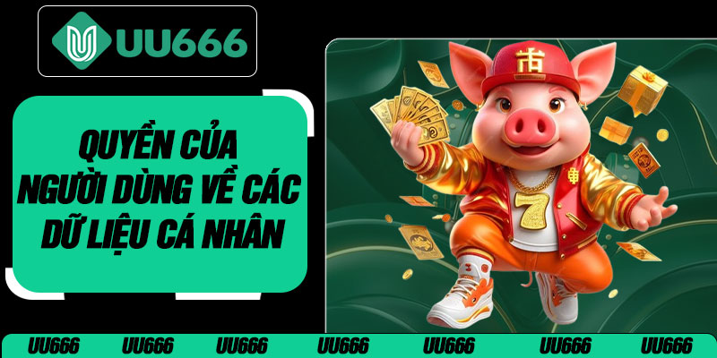 Quyền Của Người Dùng Về Các Dữ Liệu Cá Nhân