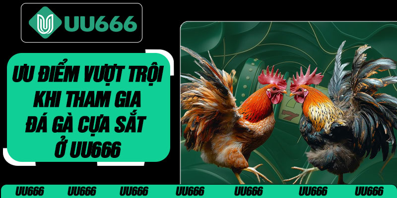 Ưu Điểm Vượt Trội Khi Tham Gia Đá Gà Cựa Sắt Ở UU666